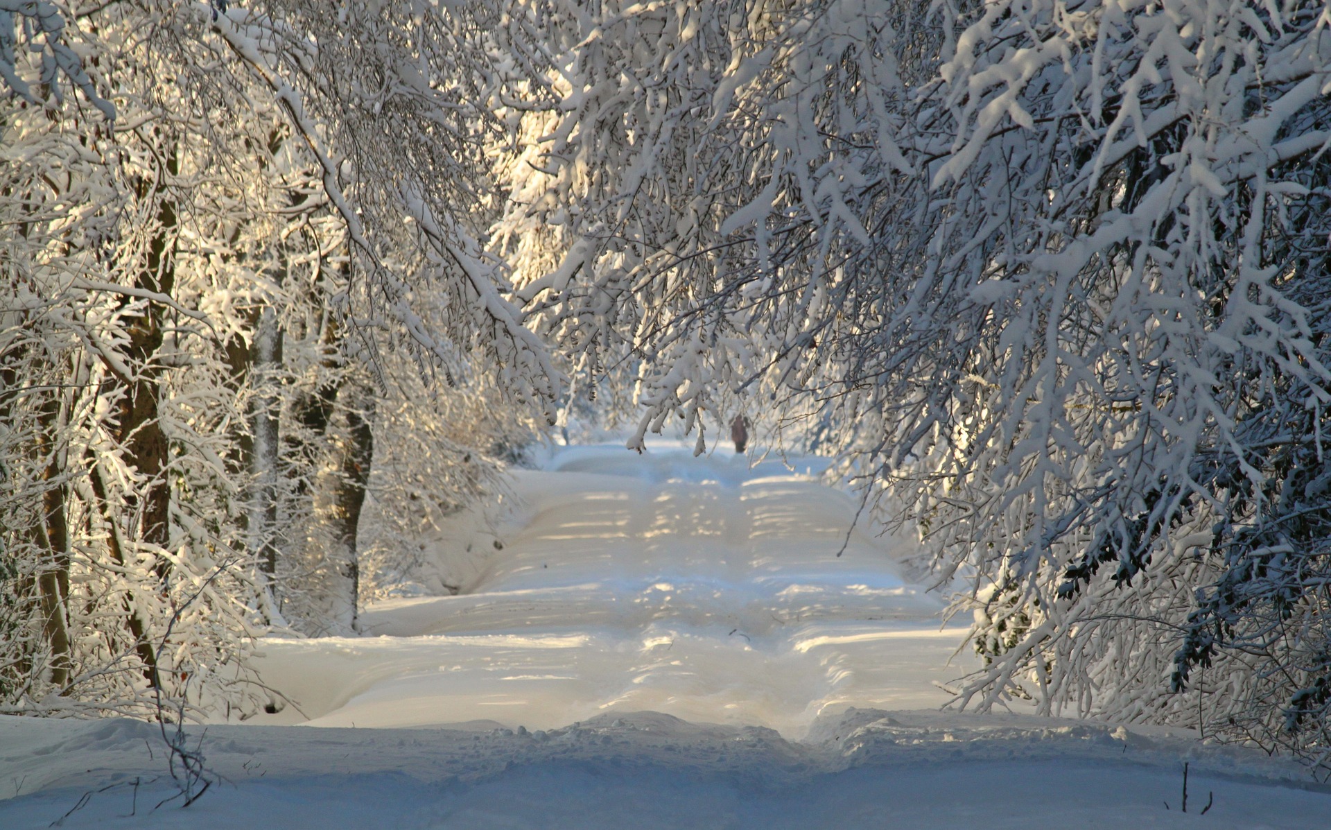 Es schneit, es schneit Vokabeln zum Schnee More than Beer and Schnitzel