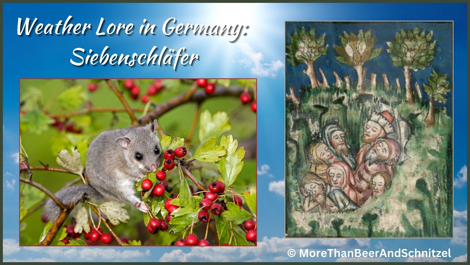 Title: Weather lore in Germany: Siebenschläfer; image of edible dormouse, image of the "Seven Sleepers", christian martyrs who slept many years